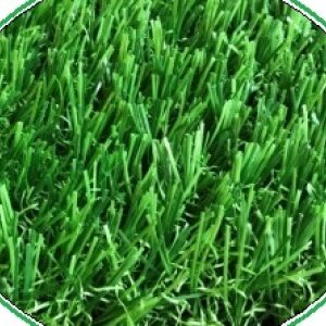 Cỏ sân vườn AMPLE -PX2 30